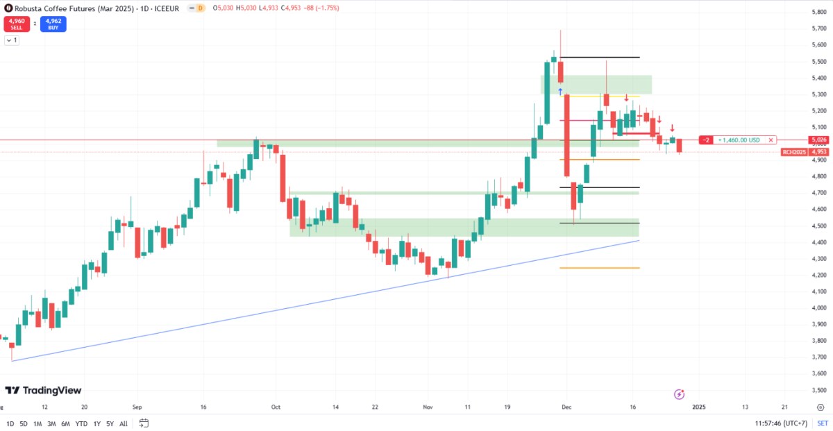 Tổng quan thị trường cà phê: triển vọng và thách thức