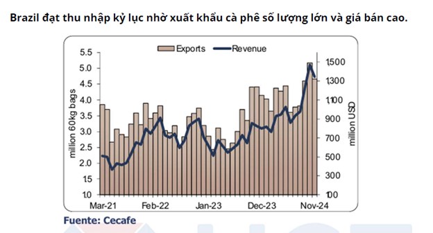 Cà phê Arabica dự kiến sẽ là tâm điểm trong năm 2025