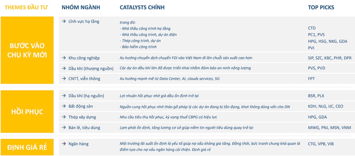 Thấy gì từ báo cáo chiến lược 2025 của BVS