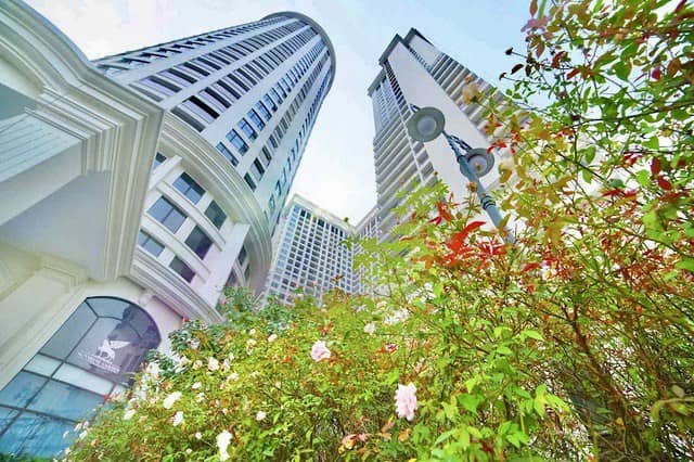 Cảm nhận mùa thu giữa không gian đô thị Xanh của Sunshine Group. Trong những ngày thu đẹp nhất của Hà  ...