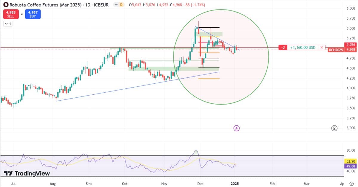 Giá cà phê đang cho thấy dấu hiệu đạt đỉnh ở mức hiện tại?