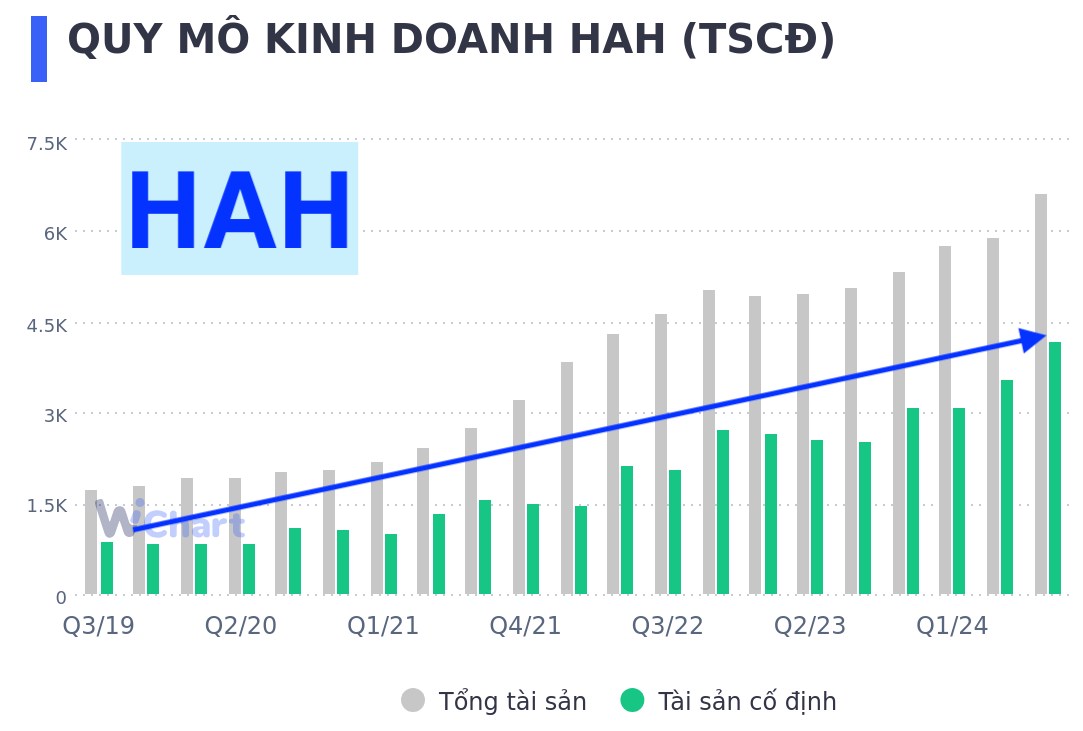 Cổ phiếu HAH: Điểm sáng trong thị trường tăm tối