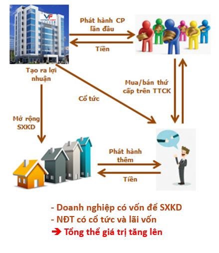 Đừng để biến động thị trường đánh lừa bạn!