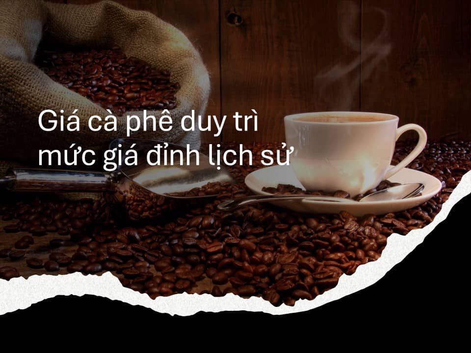 Giá cà phê sẽ khó có thể giảm trong ngắn hạn