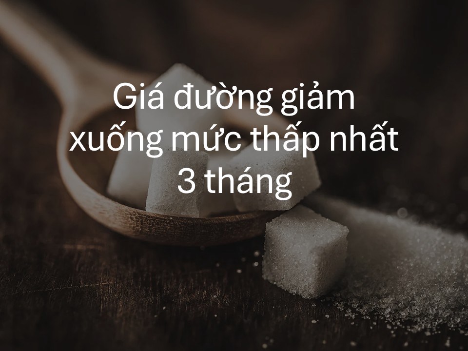 Giá đường thấp, doanh nghiệp chịu ảnh hưởng ra sao?