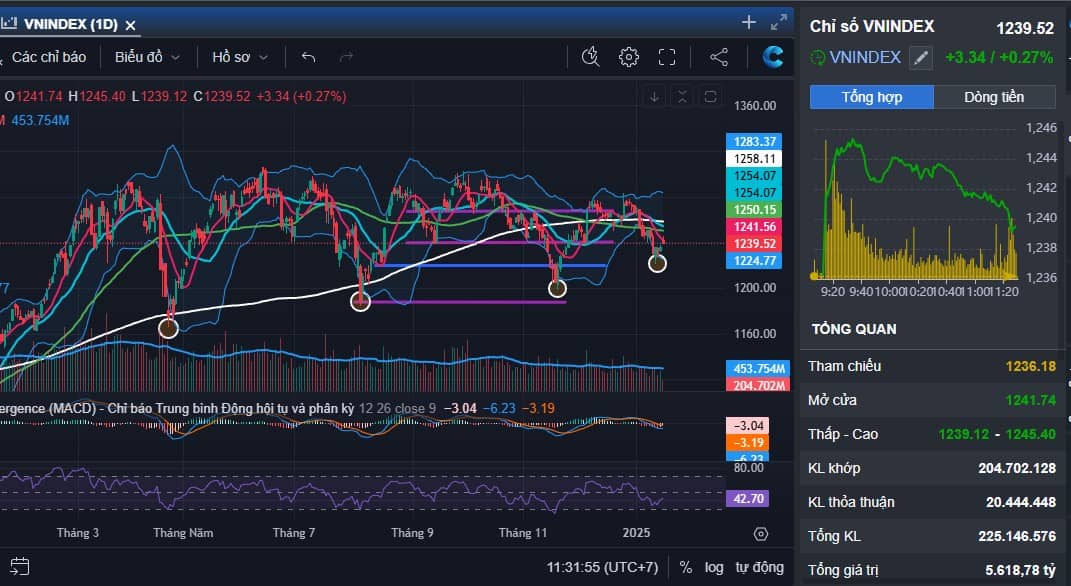 Dựa vĩ mô nhận định timing thị trường lấy lại 1300 trước tết âm lịch - Kế hoạch đầu tư năm mới