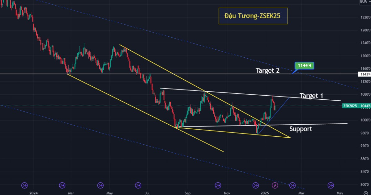 Giá đậu nành (soybeans) sẽ thế nào sau ngày nhậm chức của tổng thống Trump ngày 20.1.2025
