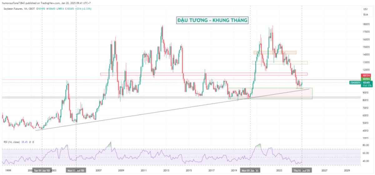 Phân tích: Đầu tư đậu Tương, triển vọng tăng giá cực tốt giai đoạn đầu năm 2025
