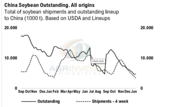Phân tích: Đầu tư đậu Tương, triển vọng tăng giá cực tốt giai đoạn đầu năm 2025