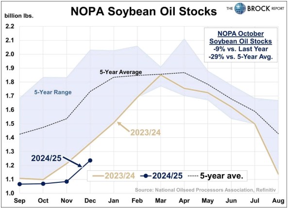 Phân tích: Đầu tư đậu Tương, triển vọng tăng giá cực tốt giai đoạn đầu năm 2025