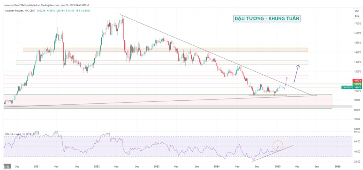 Phân tích: Đầu tư đậu Tương, triển vọng tăng giá cực tốt giai đoạn đầu năm 2025