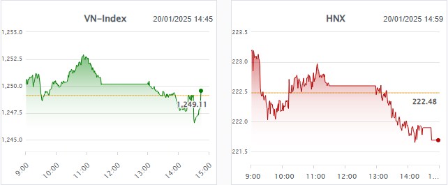Siêu cổ phiếu trần trước Tết - Món quà lì xì sớm cho NĐT !