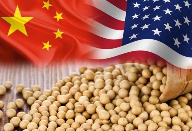 Kỷ lục nhập khẩu đậu tương của Trung Quốc năm 2024: Phân tích tác động đến thị trường toàn cầu