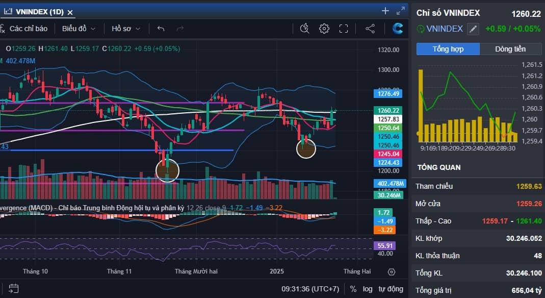 Chiến thuật thị trường năm mới - tiếp đà hồi phục - phiên giao dịch cuối cùng của năm Giáp Thìn 2024