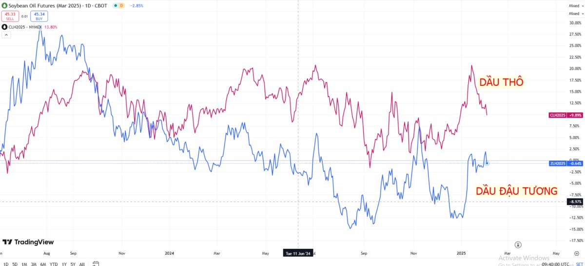 Giá dầu đậu tương dưới tác động của cung cầu và chính sách thương mại