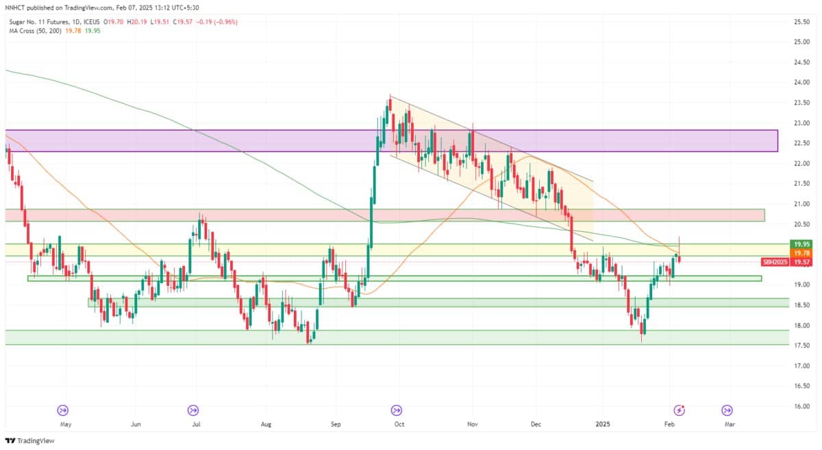 Giá đường lao dốc không phanh: Thị trường chao đảo vì dư cung!
