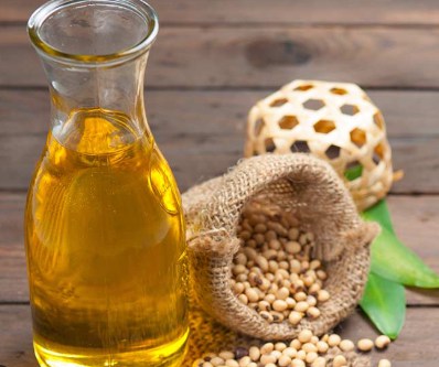 Tác động của Nguồn Cung Dầu Cọ Giảm và Dự Báo Xu Hướng Giá Dầu Đậu Tương