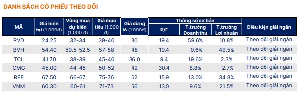 Danh sách cổ phiếu theo dõi chờ giải ngân