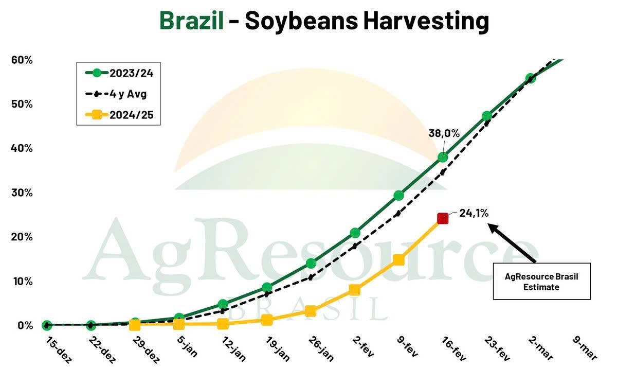 Thời tiết khô hạn đe dọa sản lượng đậu tương Brazil