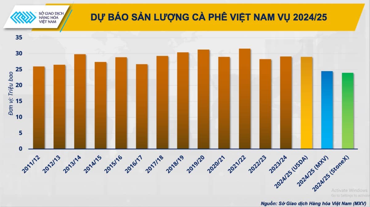 Khủng Hoảng Cà Phê Toàn Cầu: Cơ Hội Đầu Tư và Xu Hướng Giá?