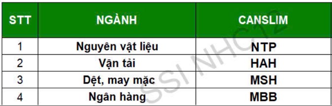 Bức tranh lợi nhuận quý 4.2024 - danh mục Canslim