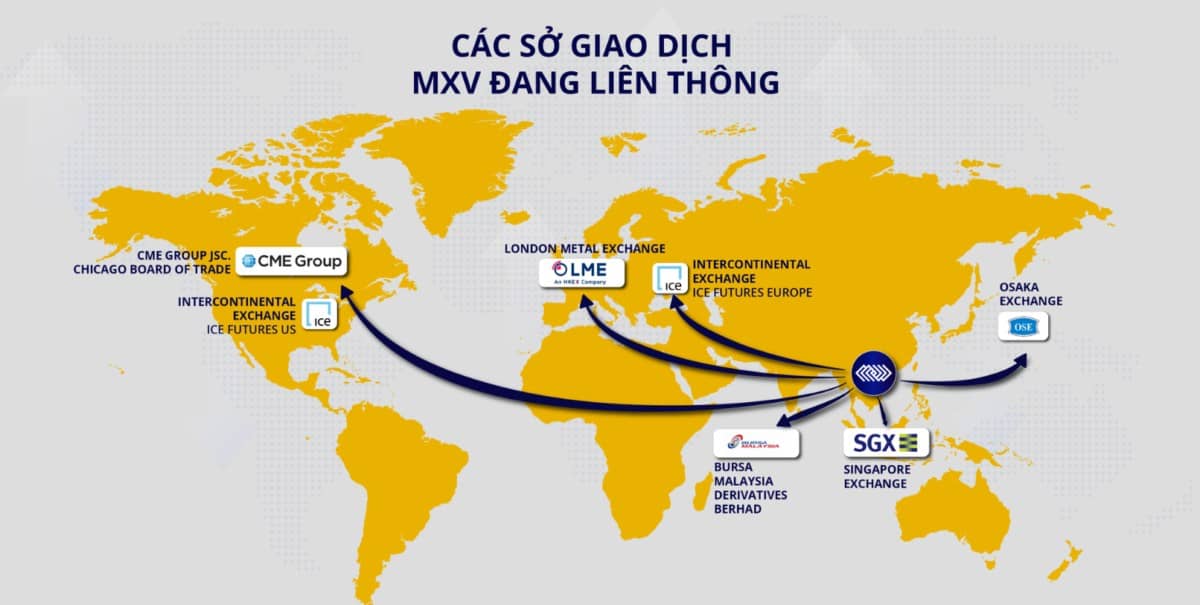 Sở Giao Dịch Hàng Hóa Phái Sinh: “Chìa Khóa Vàng” Cho NĐT Và Doanh Nghiệp Việt Bảo Hiểm Giá và Đột Phá Lợi Nhuận!