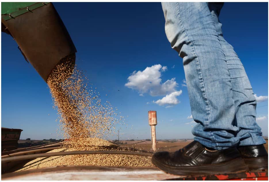 Diện tích trồng đậu nành ngày càng mở rộng của Brazil có thể đối mặt với thách thức từ Trung Quốc.