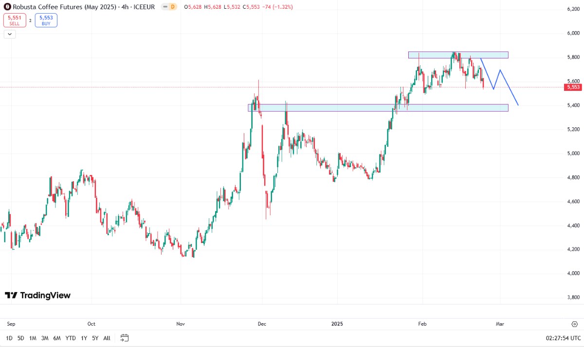 Giá cà phê tiếp tục giảm do áp lực từ các quỹ đầu tư và nhu cầu suy yếu