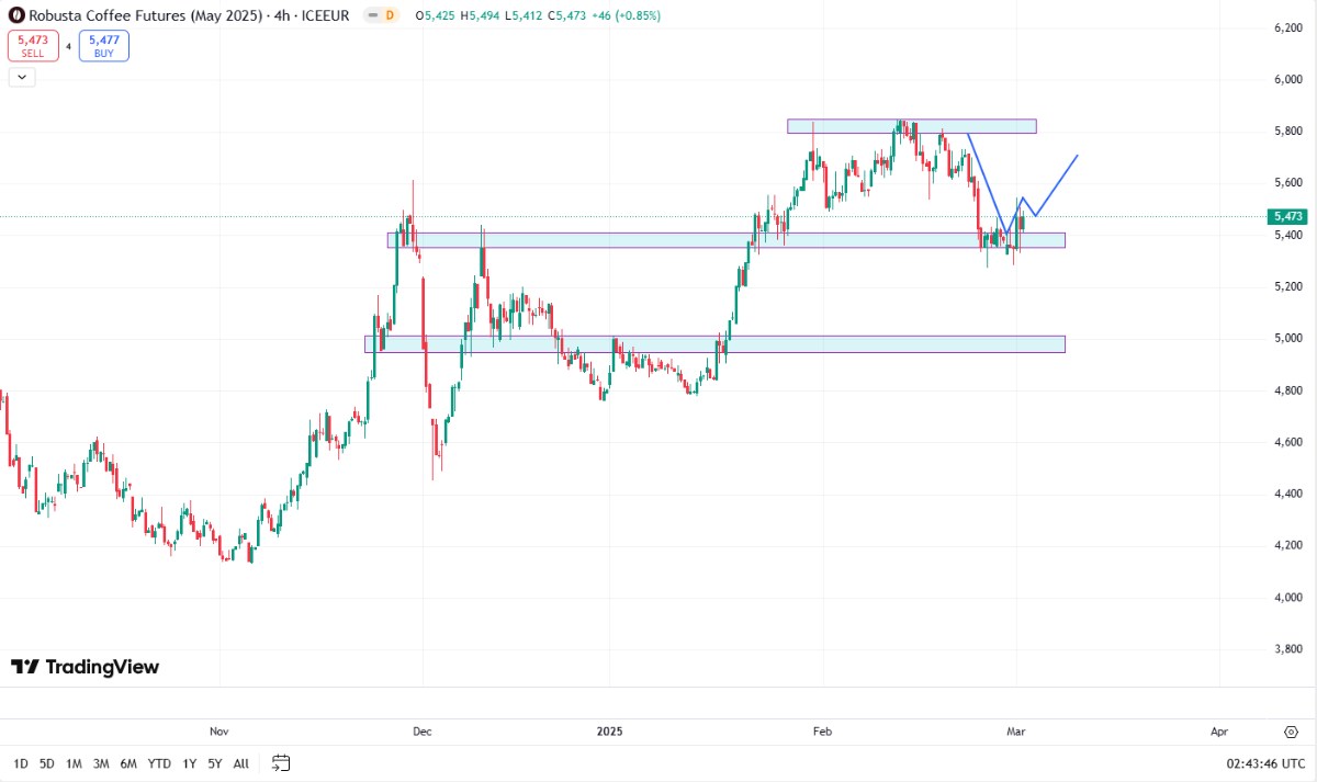Phân tích nguyên nhân giá cà phê tăng mạnh ngày 04/03/2025