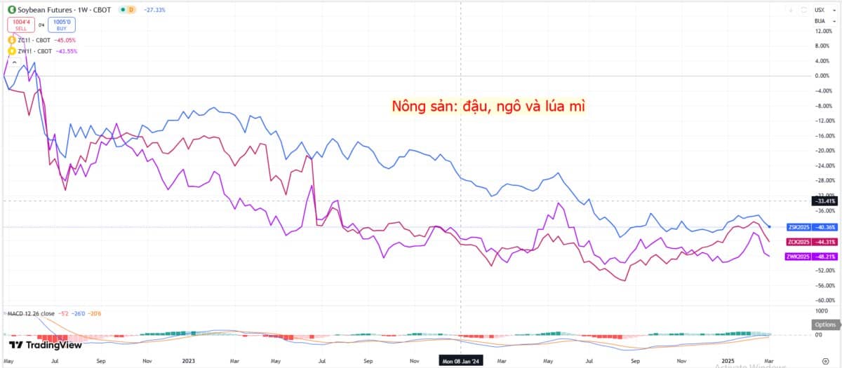 Ảnh hưởng của chính sách thuế toàn cầu!