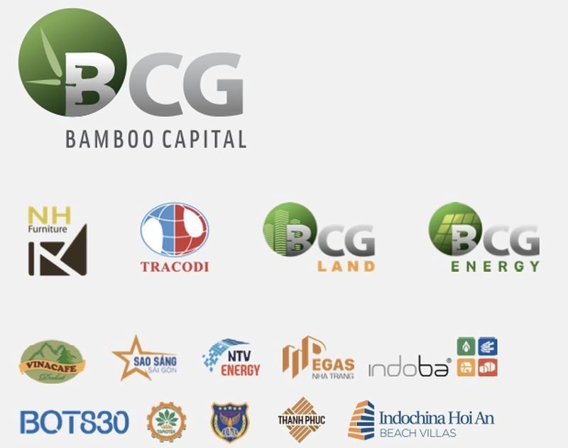 5 nguyên nhân chính khiến hệ sinh thái BCG gặp khó