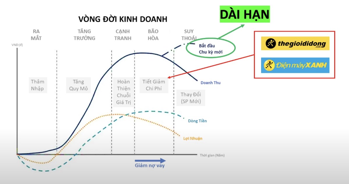 Cổ phiếu MWG – Từ đỉnh cao đến khủng hoảng: Bài học từ một đế chế bán lẻ