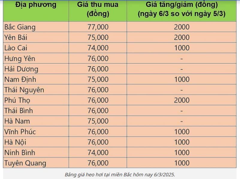 Loại bỏ cổ phiếu rác - sóng lợn Dabaco (DBC) - Vĩ mô Việt Nam ổn định