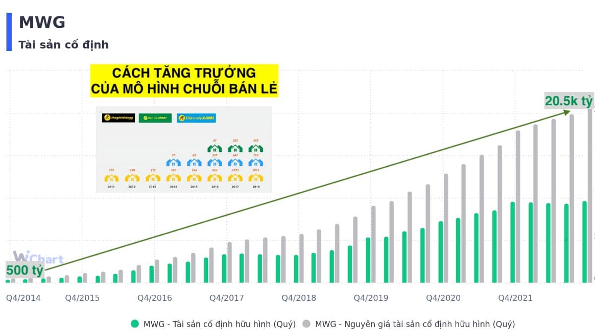 Cổ phiếu MWG – Từ đỉnh cao đến khủng hoảng: Bài học từ một đế chế bán lẻ