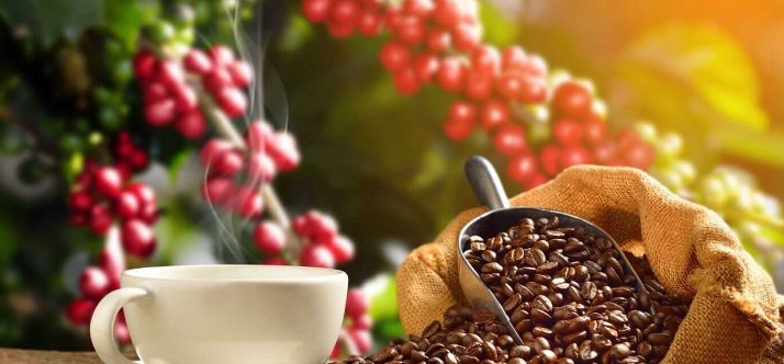GIÁ CÀ PHÊ CAO CÓ THỂ KÉM BỀN VỮNG KHI NHU CẦU SUY YẾU. -----------. Giá cà phê đã tăng mạnh tới 183%  ...