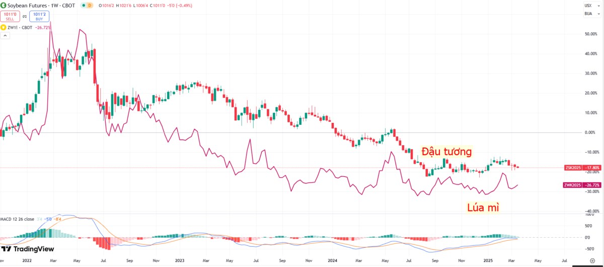 Tác động của lạm phát đến thị trường hàng hóa và tài chính!
