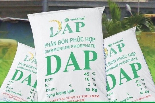 DDV - Hồi sinh trở lại hay sớm nở lại tàn?