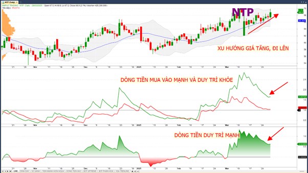 NTP – Triển vọng lớn trong 2025 nhờ điểm nhấn cơ bản vượt trội