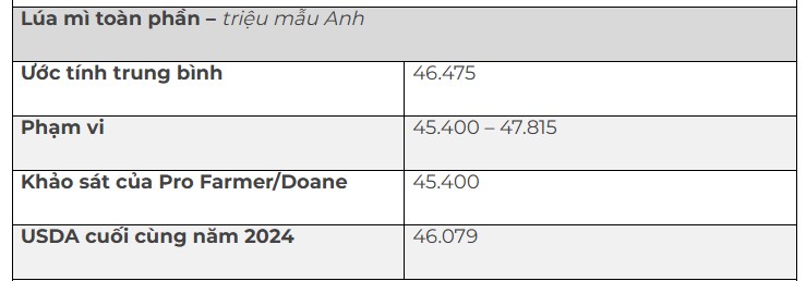 Báo cáo quan trọng ngành nông sản 31/3: Triển vọng gieo trồng và tồn kho ngũ cốc quý 1