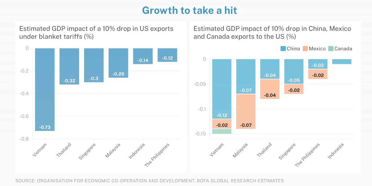 Mỹ Áp Thuế Ai Mà Không Sợ? Thời điểm mà Bìm Bịp và Chim Lợn thi nhau đối đầu.. - Ngày 2/4 tới, chính  ...