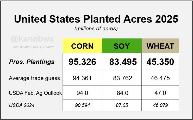 Báo Cáo Diện Tích Gieo Trồng Mỹ: Cơ Hội Đầu Tư Ngô, Đậu Tương và Lúa Mì Trong Năm 2025?