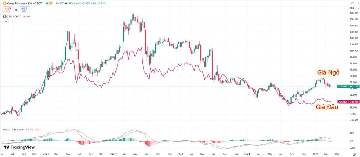 Xu hướng biến động diện tích gieo trồng ngô và đậu tương Hoa Kỳ