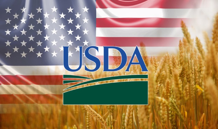 Báo Cáo Diện Tích Gieo Trồng Mỹ: Cơ Hội Đầu Tư Ngô, Đậu Tương và Lúa Mì Trong Năm 2025?