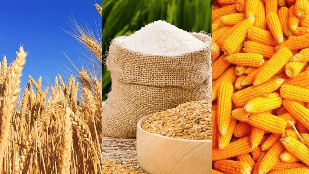 Xu hướng biến động diện tích gieo trồng ngô và đậu tương Hoa Kỳ