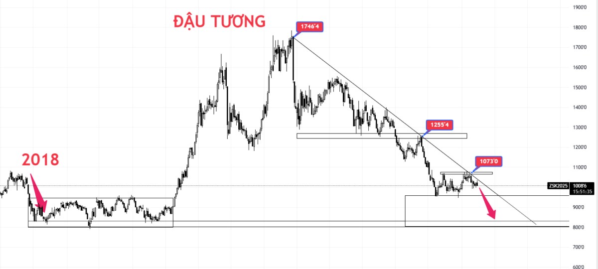 Nhận định thị trường đậu tương: Liệu kịch bản 2018 có lặp lại?