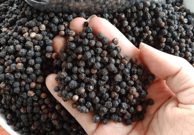 Giá tiêu duy trì ổn định