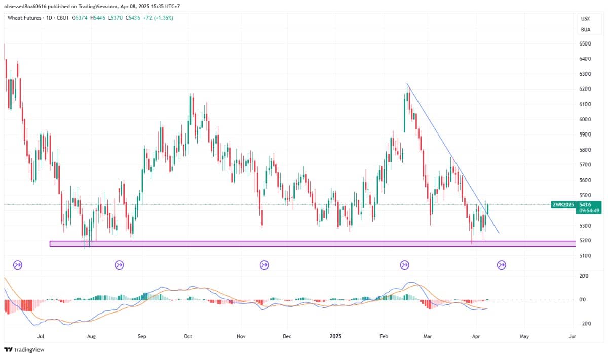 Bỏ phố Wall, đến với cánh đồng: Vì sao nông sản đang là “hàng hot” trên thị trường hàng hóa?. Thị trường  ...