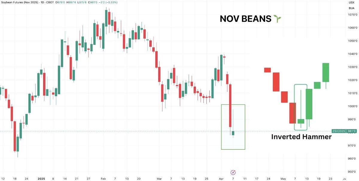 Bỏ phố Wall, đến với cánh đồng: Vì sao nông sản đang là “hàng hot” trên thị trường hàng hóa?. Thị trường  ...