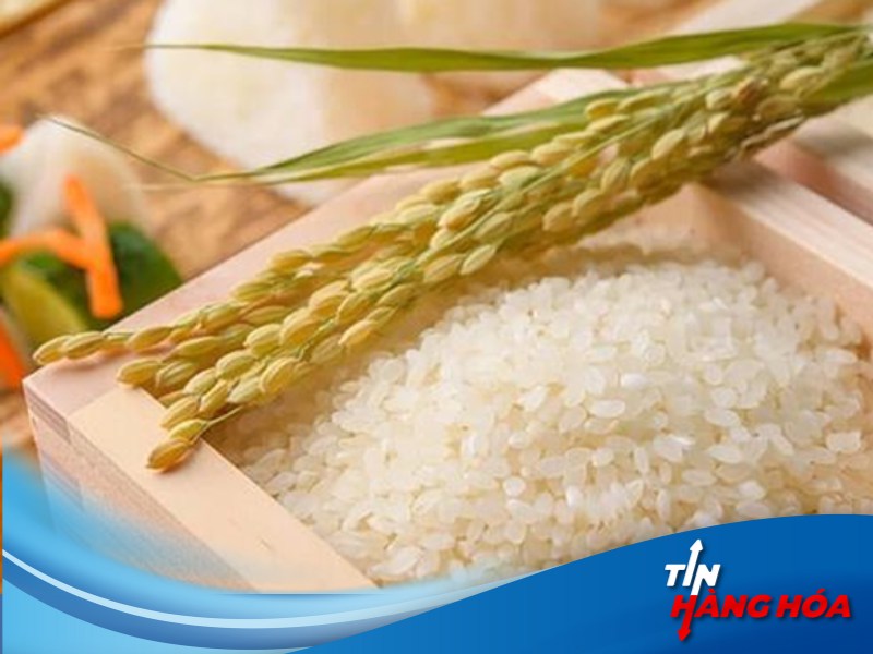 Gạo giảm do bất ổn về thuế quan