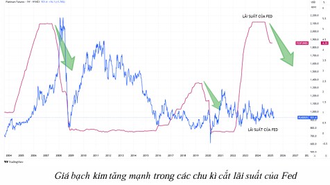 Bạch kim PLEN25 ngày 11/04/2025